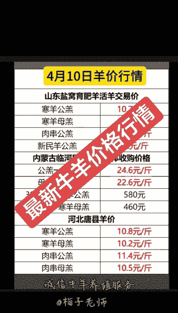 银川牛羊专用饲料价格多少