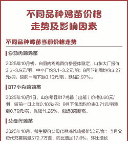 鸡苗价格的影响因素