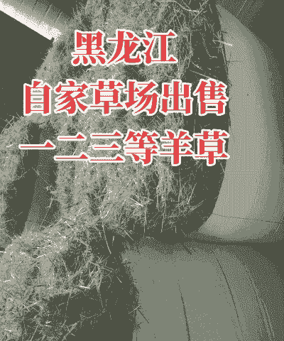 喂牛羊的草的价格