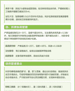 母猪产后喂养的时间