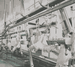 猪牛羊屠宰全套设备价格