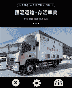 陕西鸡苗运输价格多少