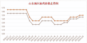 青脚鸡苗的价格