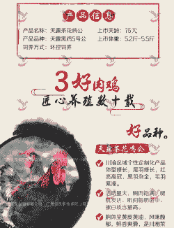 广州鸡苗价格最新价格表