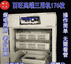大型鸡苗孵化器价格