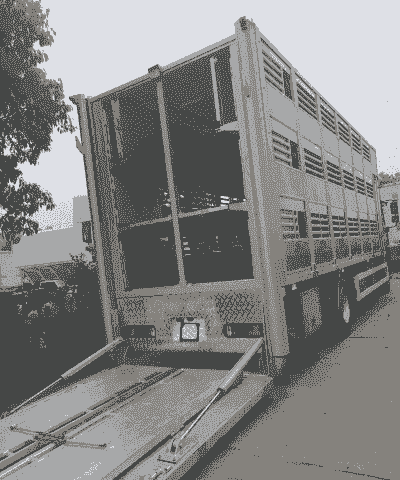 鸡苗托运车价格是多少