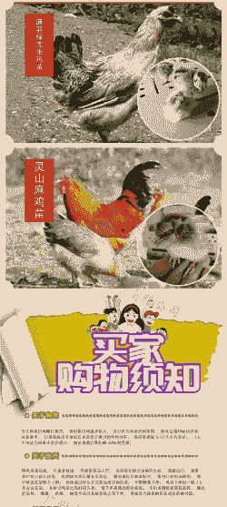 竹丝鸡苗孵化场价格