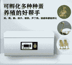 家用小型孵化鸡苗机器价格