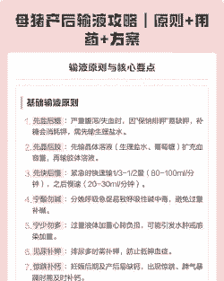 母猪产后怎样消炎输液