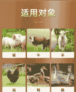 猪牛羊鸡鸭鹅兔鱼价格