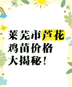 莱芜鸡苗出售价格多少