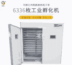 鸡苗孵化机价格多少