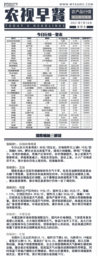高产白羽鸡苗价格表