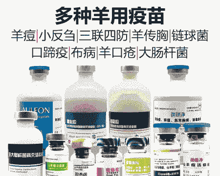 新疆牛羊疫苗价格多少钱