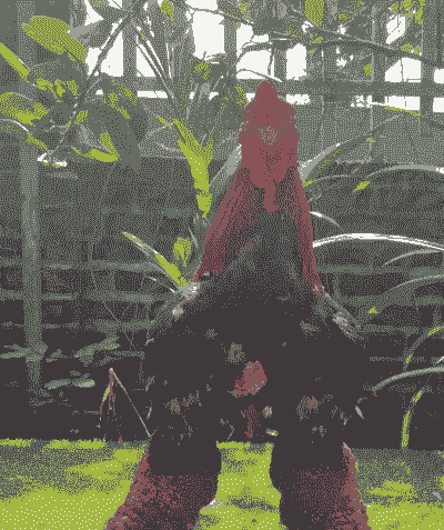 内蒙古东涛鸡苗价格