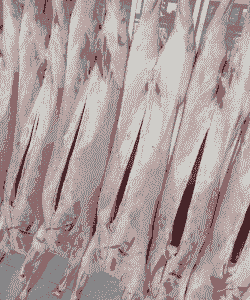 青海特产牛羊肉价格