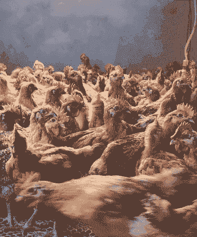 昆明脱温鸡苗出售价格