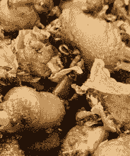 苗山峰盛炒鸡特色价格