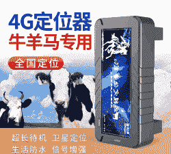 山东牛羊定位器价格多少