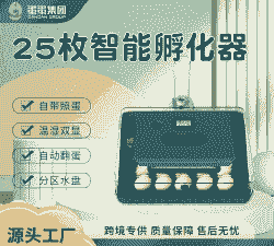 新型鸡苗孵化机价格多少