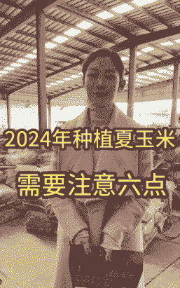 夏播玉米种植时间
