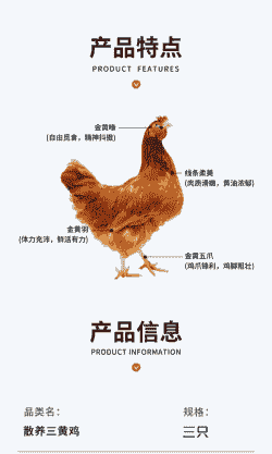 三黄鸡大苗价格表