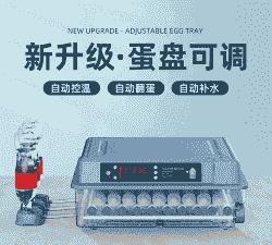 鸡苗孵化器价格多少合适
