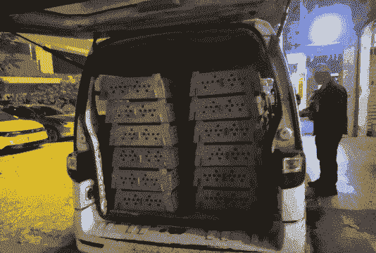 宜昌鸡苗运输价格多少钱