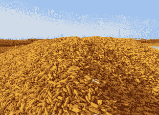 东北玉米种植成熟期