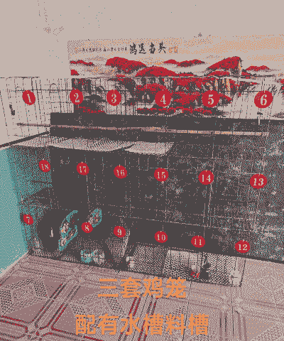 鸡苗笼子的价格多少钱