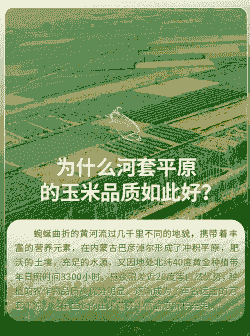 河套玉米种植成本多少