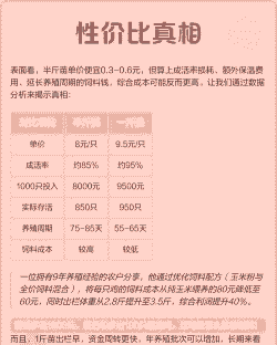 半斤鸡苗出售价格多少合适