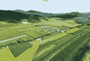 为什么朝鲜玉米种植的少