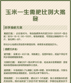 玉米种植要多少氮磷钾