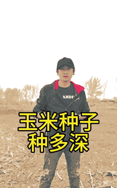玉米种子种植多深为好呢