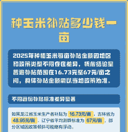 玉米种植一亩补贴多少元