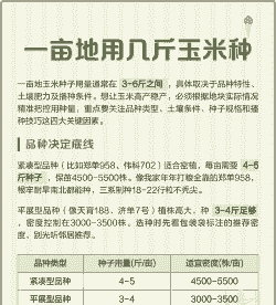 一亩玉米种植多少斤合适