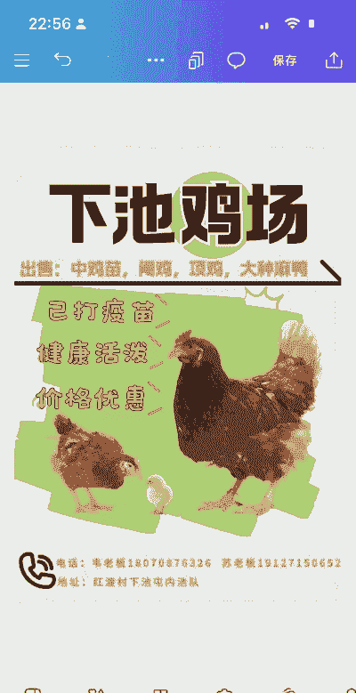 一斤活体鸡苗价格多少