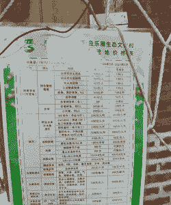 梁山孵化场鸡苗价格表