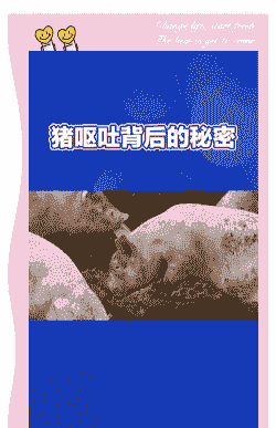 母猪产后吐的原因