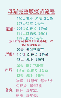 母猪产后怎么防流感