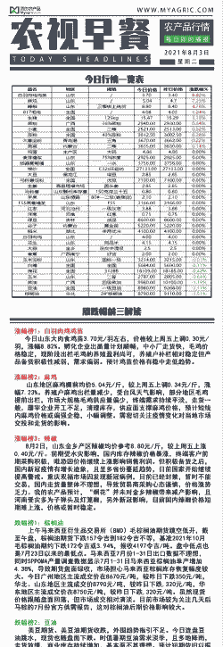 白羽鸡苗出厂价格表