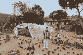 贵港鸡苗价格多少一斤啊