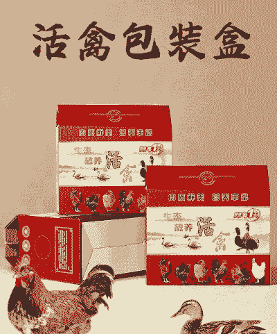 装鸡苗的专用纸箱价格
