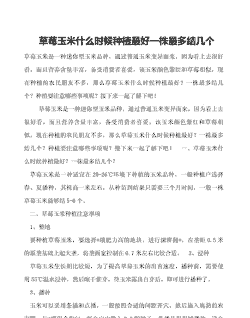 草莓玉米种植过程