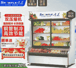 专用牛羊肉冷冻柜价格