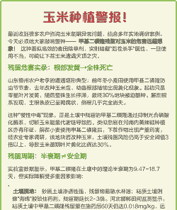 玉米种植的危害