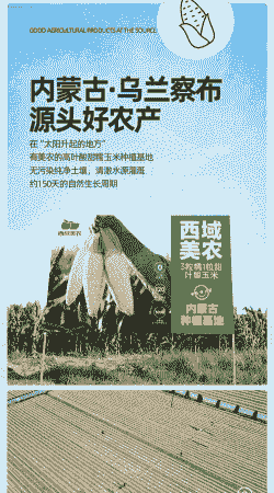 内蒙玉米种植价格