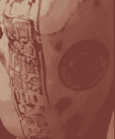 母猪的产后护理盖章