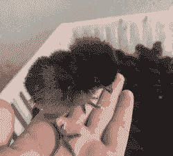 山东五黑高产鸡苗价格表